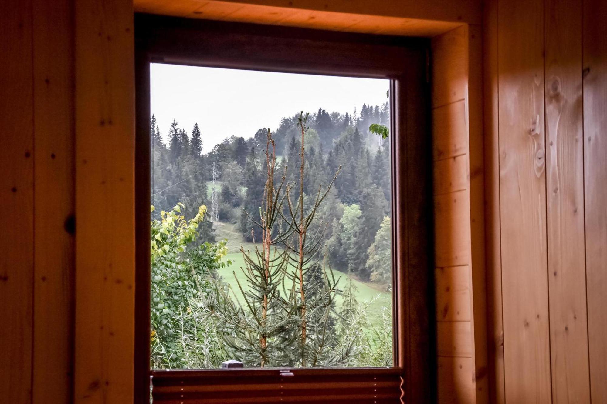 Domek Jatka No 1 Zakopane Exteriér fotografie